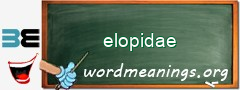 WordMeaning blackboard for elopidae